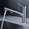Single Handle Kitchen Sink Taps Pull out Kitchen Faucet