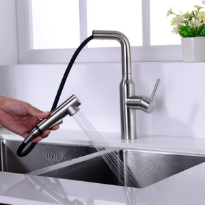 Pull out Kitchen Sink Faucet in Stainless Steel