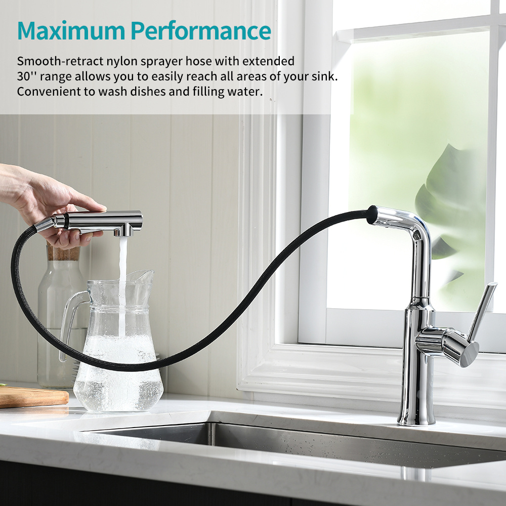 15 Beautiful Kitchen Sink With Pull Out Spray with wow factor